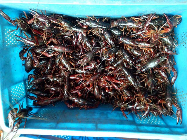 С���r�Bֳ���P(gu��n)�I���g(sh��)