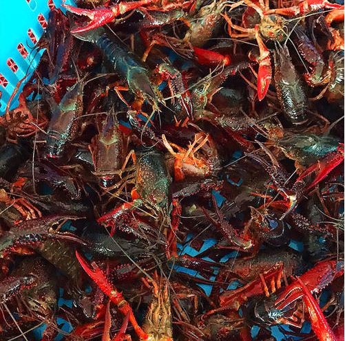 С���r��ԓ�����ϴ