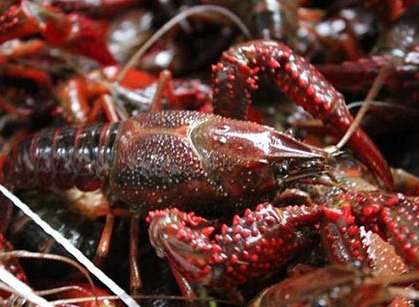 С���r���Bֳ�Ĳ����A��