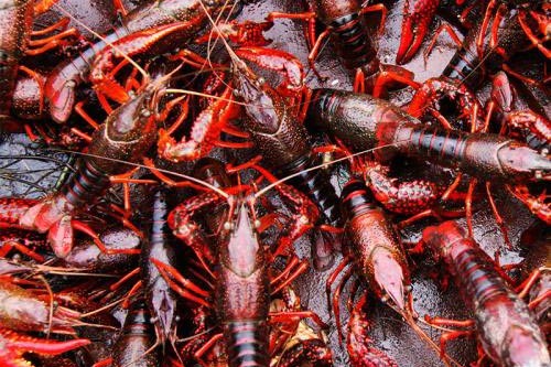 ���r�Bֳ�͂��yģʽ��ʲô��һ��