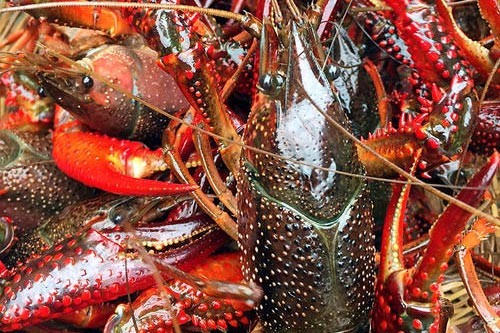 С���r�������x