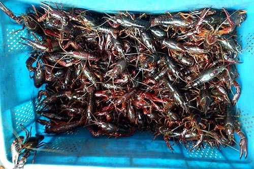 ���B(t��i)С���r���l(f��)�Ј�(ch��ng)������