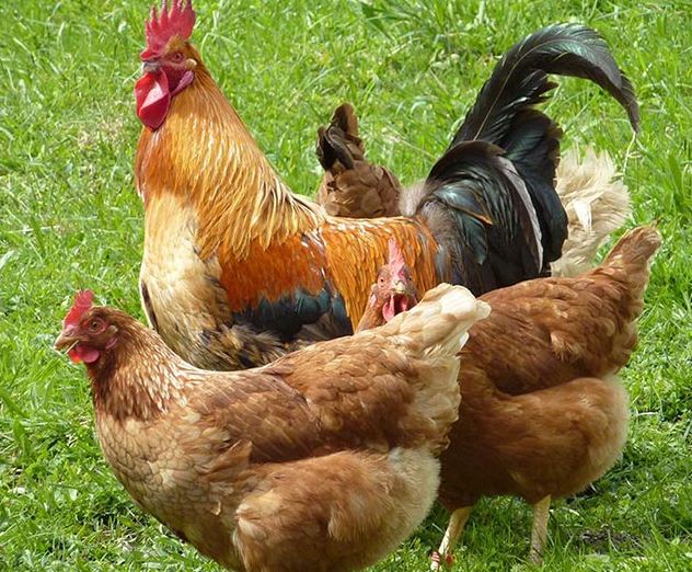 ���u���B������B