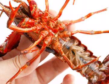 ���Ӳ��ܱ��C���r���Bֳ�ɻ���