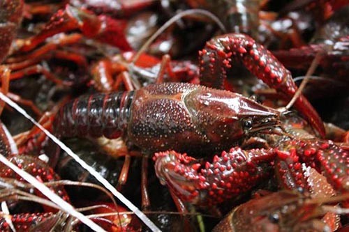 ���r�Bֳ�h(hu��n)����ʲôҪ��