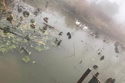 未來(lái)土鴨土鵝業(yè)將朝著(zhù)這幾個(gè)方向發(fā)展 未來(lái)土鴨土鵝業(yè)將朝著(zhù)這幾個(gè)方向發(fā)展