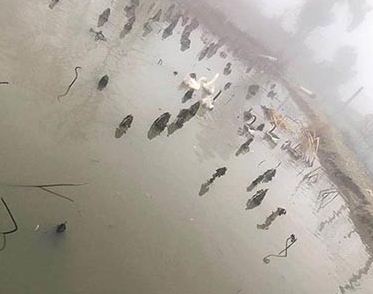 һ�N�������Bֳ�����c����