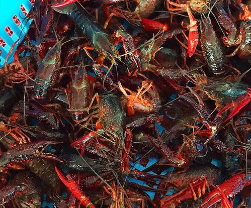 �����BֳС���r�ļ���