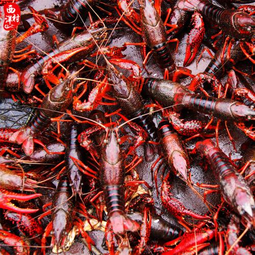 ���r����ɻ���������