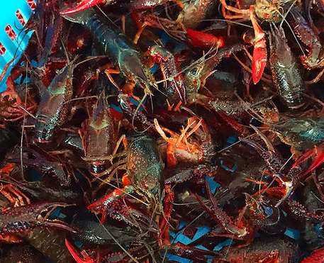 С���r�����ע�����