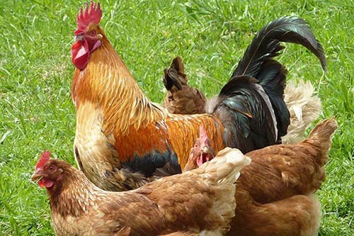 ���r�������u(m��i)��