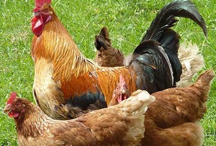 �r���˶����õ��r�����u�Bֳ����