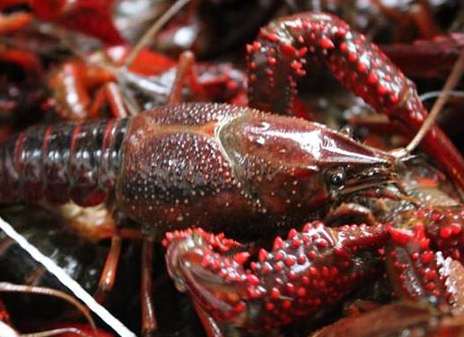 С���r��ô�Ը�����