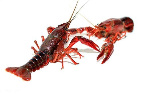 ԭ���B(t��i)�����r