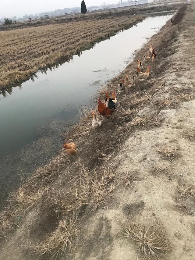 �r�����u