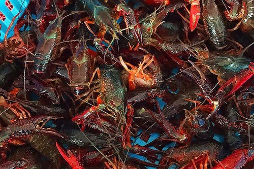 С���r���B(t��i)�Bֳ