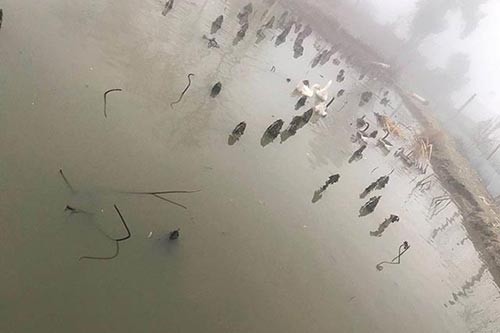 �������Z