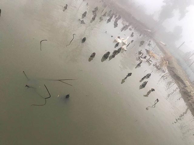 �������Z