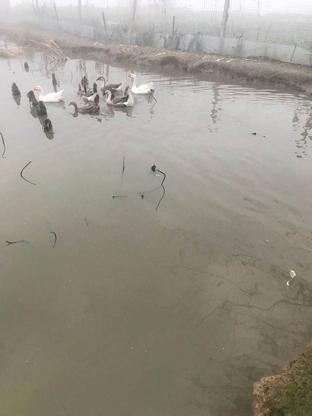 �������Z