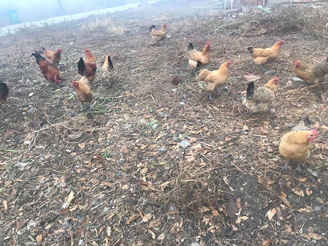 �r�����u