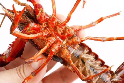 ԭ���B(t��i)С���r