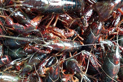 ԭ���B(t��i)�����r