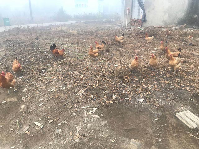 �r�����u