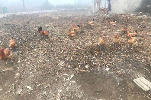 �r�����u