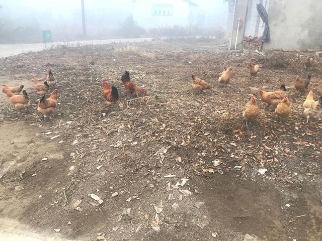 �r�����u