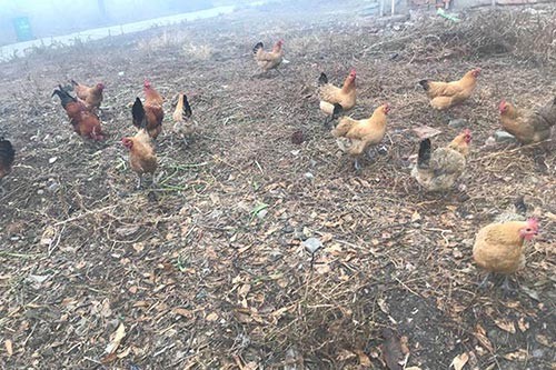 �r�����u