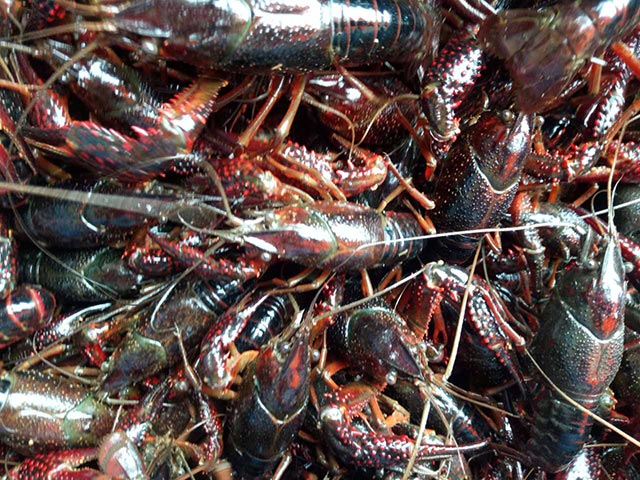 ԭ���B(t��i)�����r