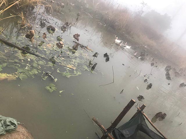 �������Z