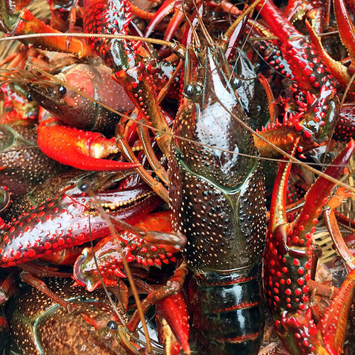 ԭ���B(t��i)С���r